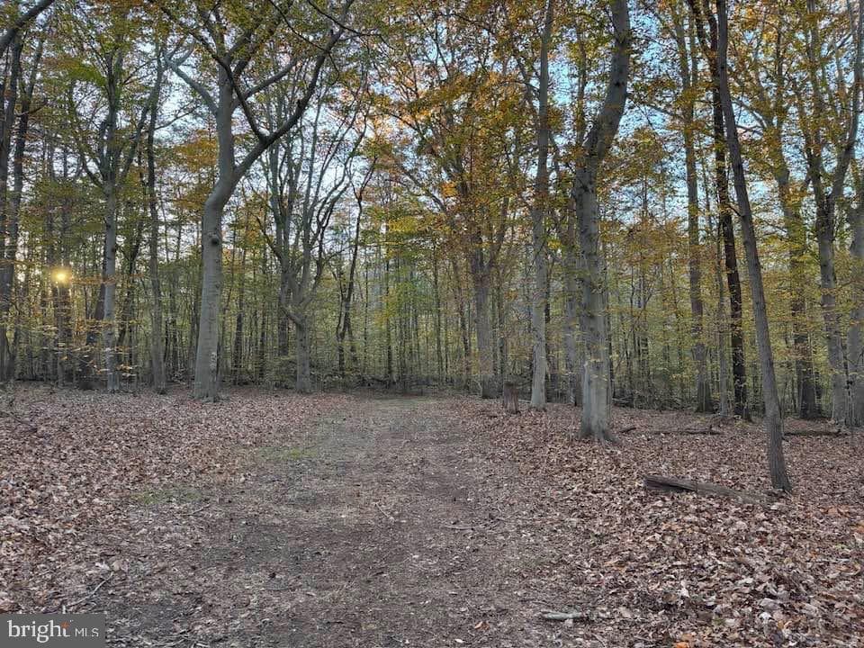 3515 Clayton Road photo 28