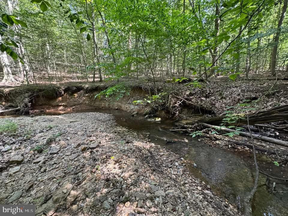 3515 Clayton Road photo 9