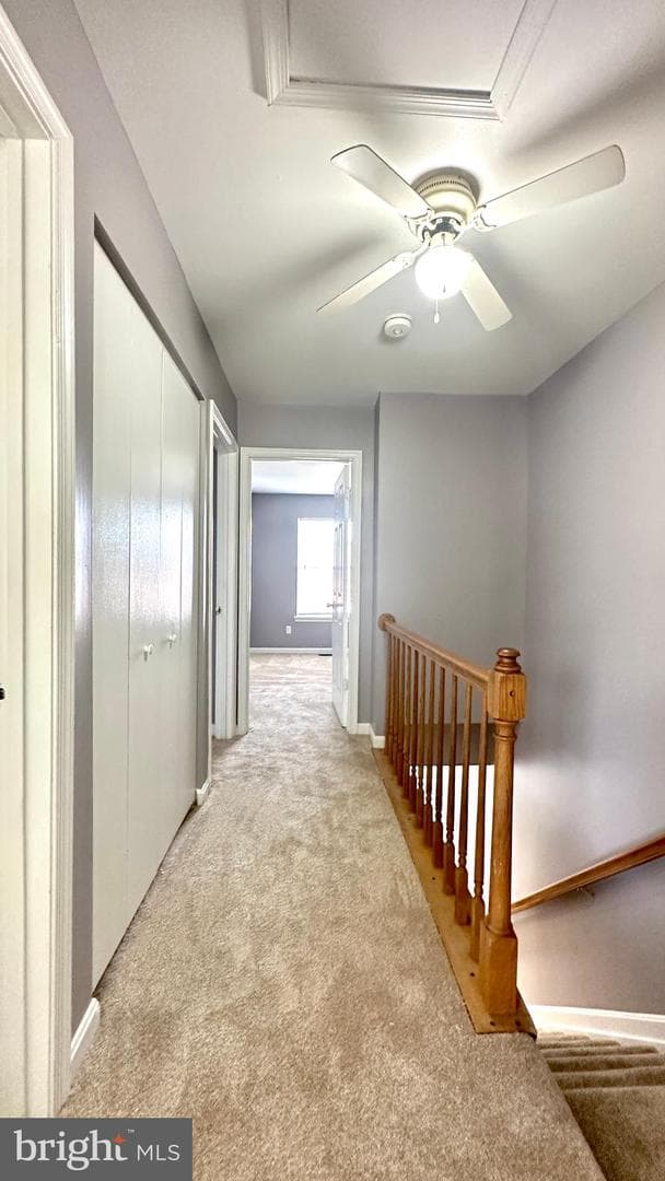 704 Saint Peters Court photo 22
