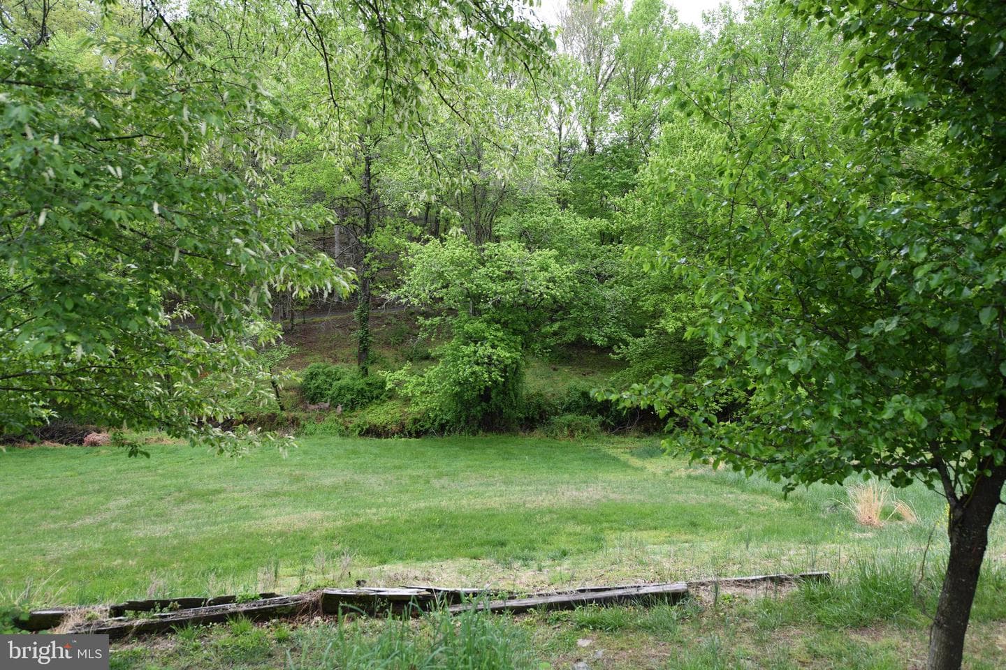 305 Rolling Knoll Drive photo 38