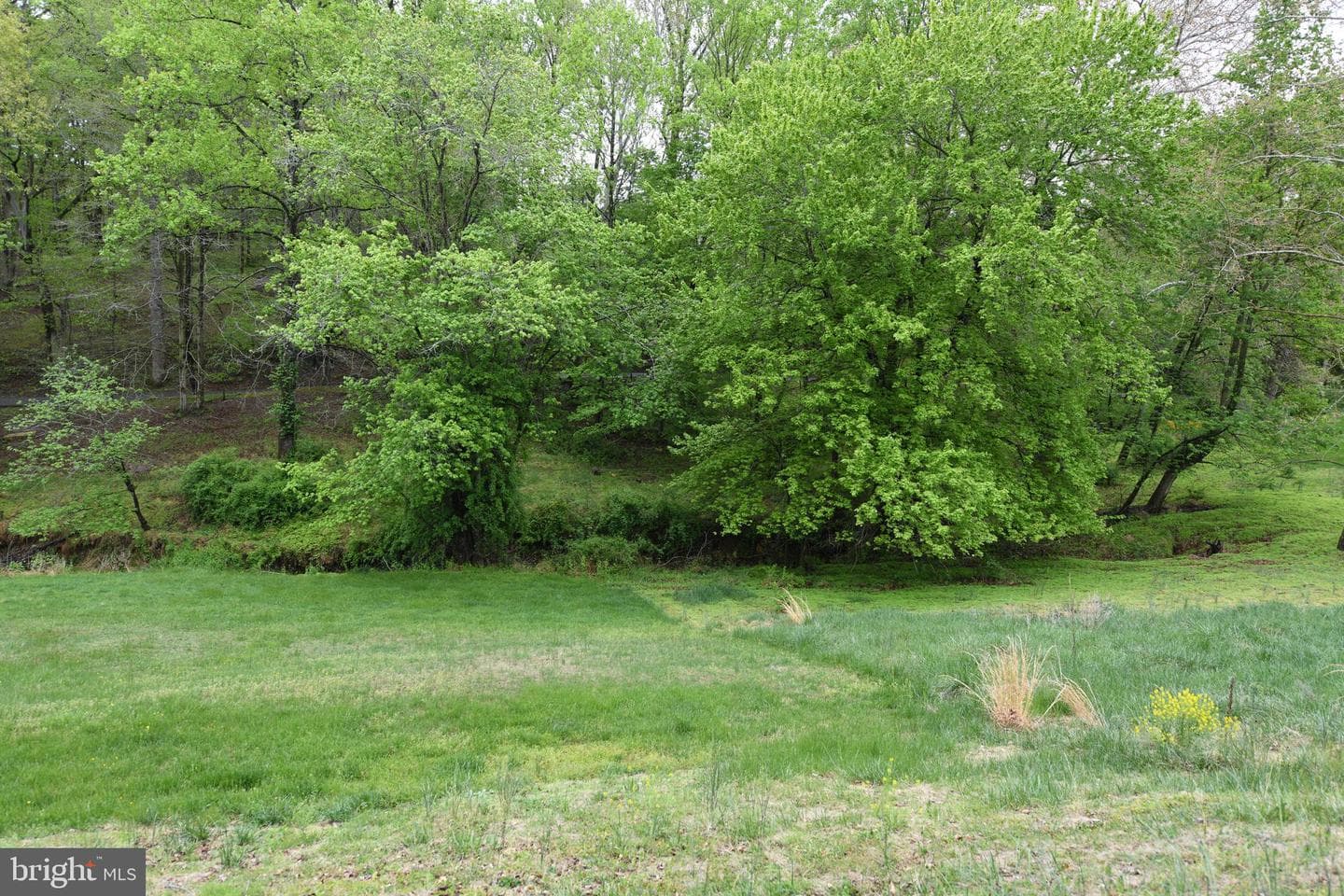 305 Rolling Knoll Drive photo 40