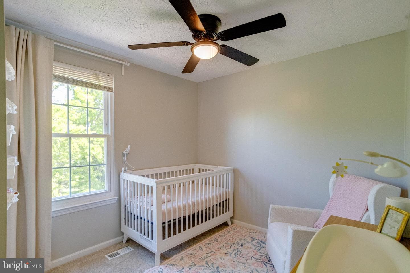 338 Delmar Court photo 22