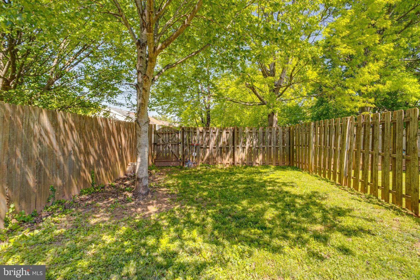 338 Delmar Court photo 43