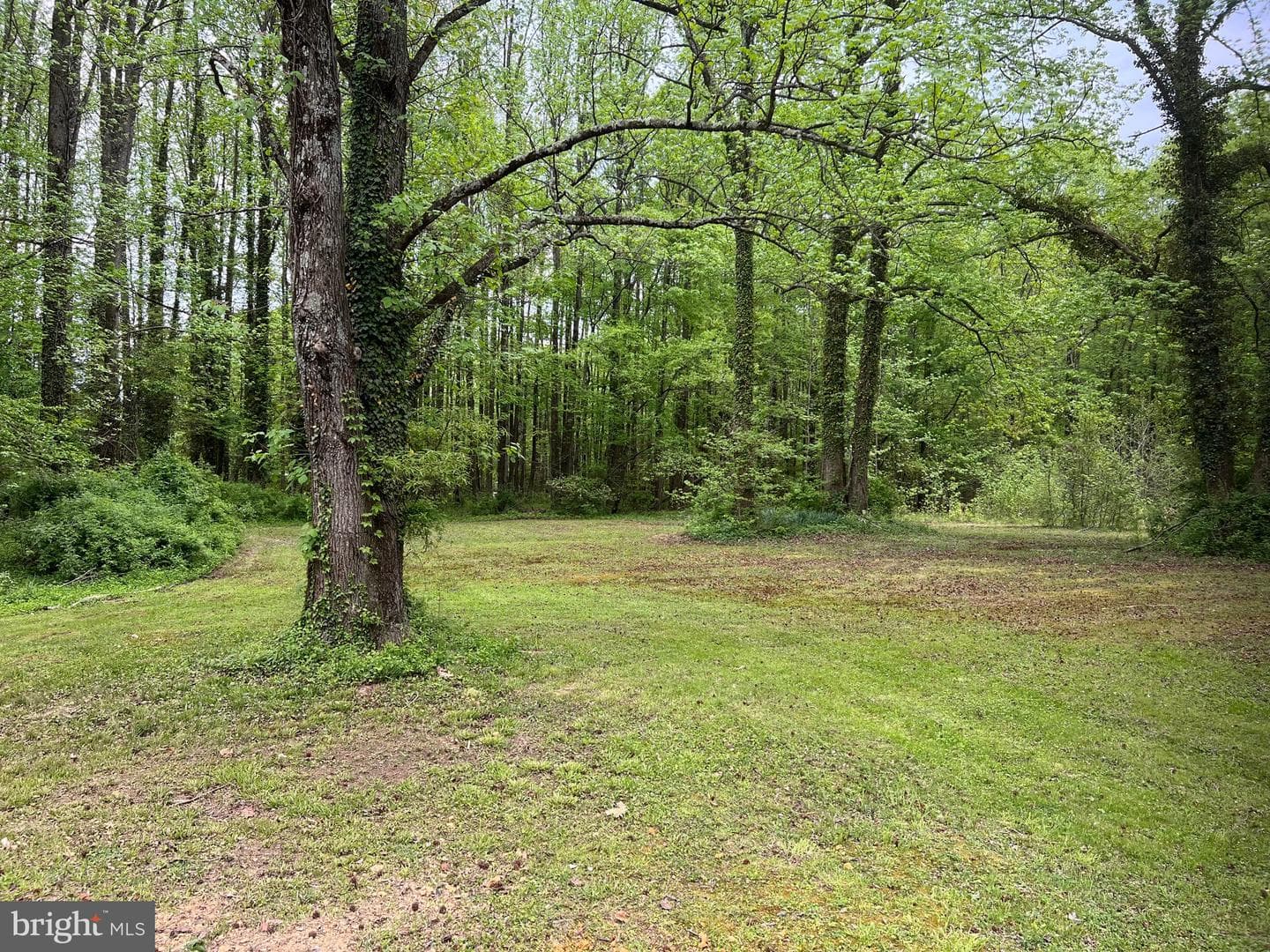 2617 Franklinville Road photo 25