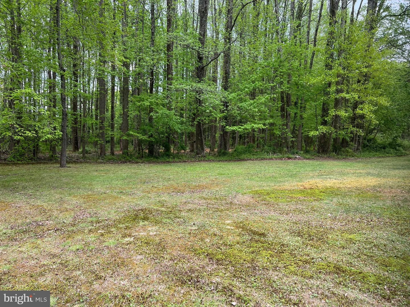 2617 Franklinville Road photo 26