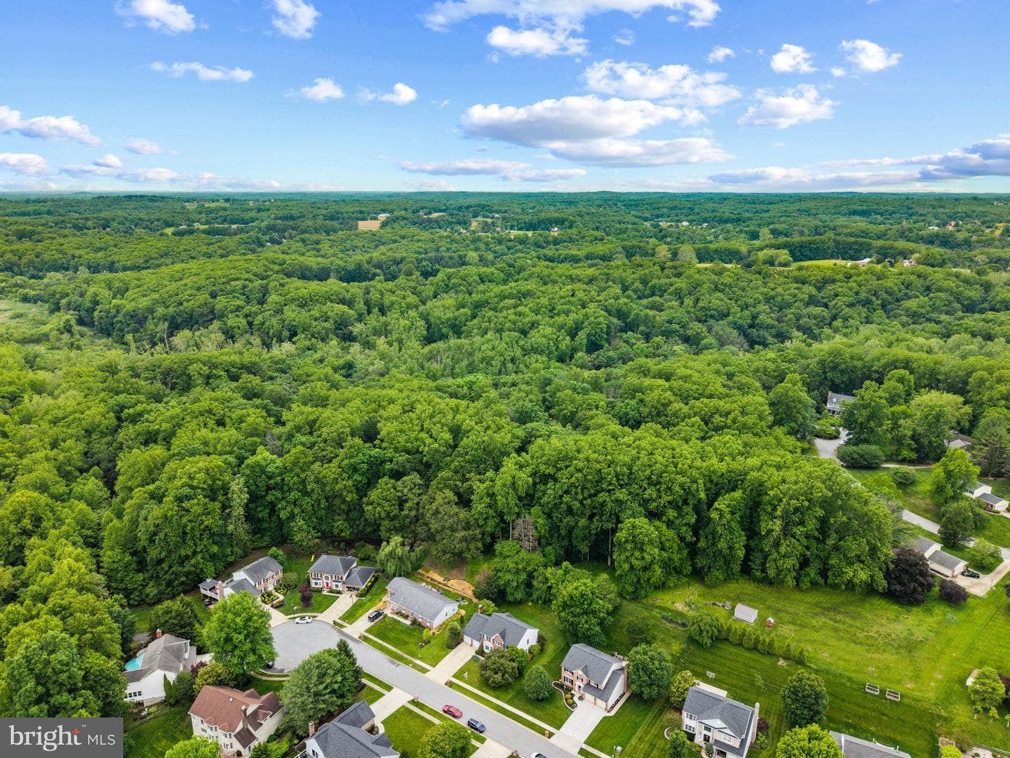 2014 Royal Fern Court photo 45