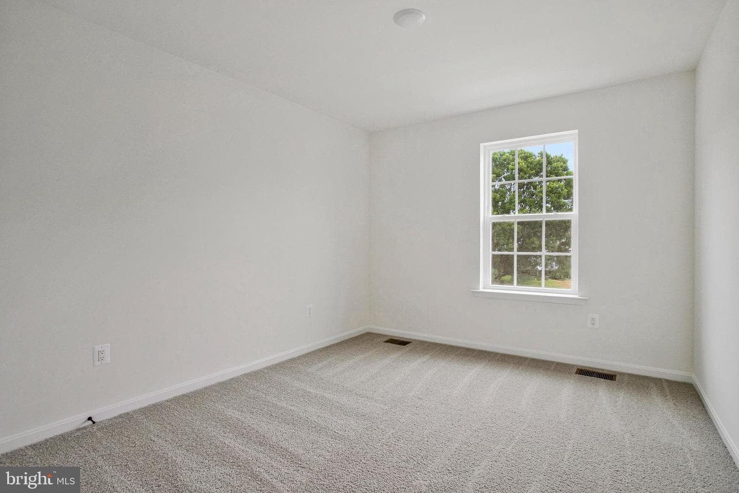1607 Shady Tree Court photo 50