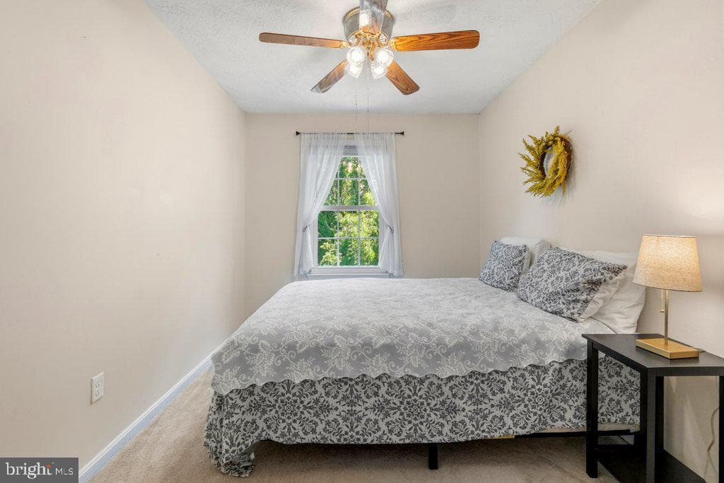 863 Ellicott Drive photo 20