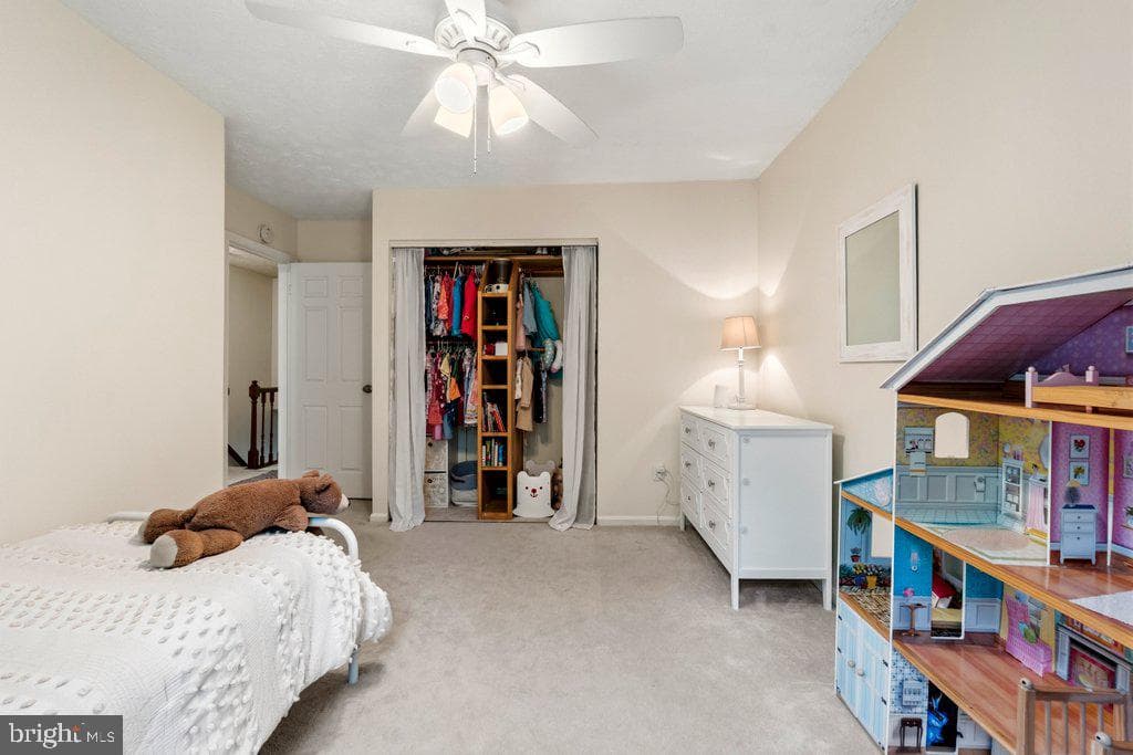 863 Ellicott Drive photo 23