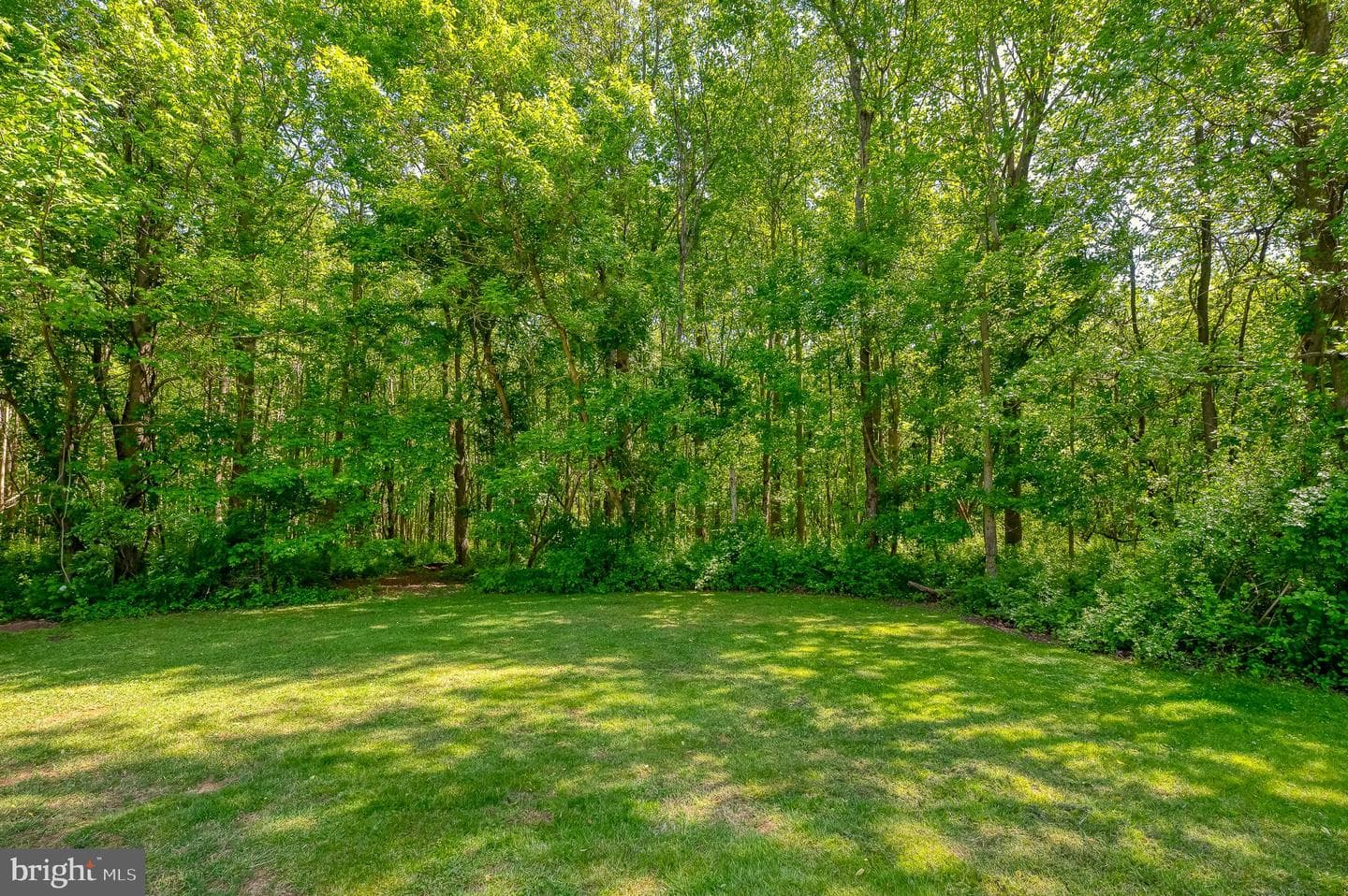 2056 Chapel Road photo 98