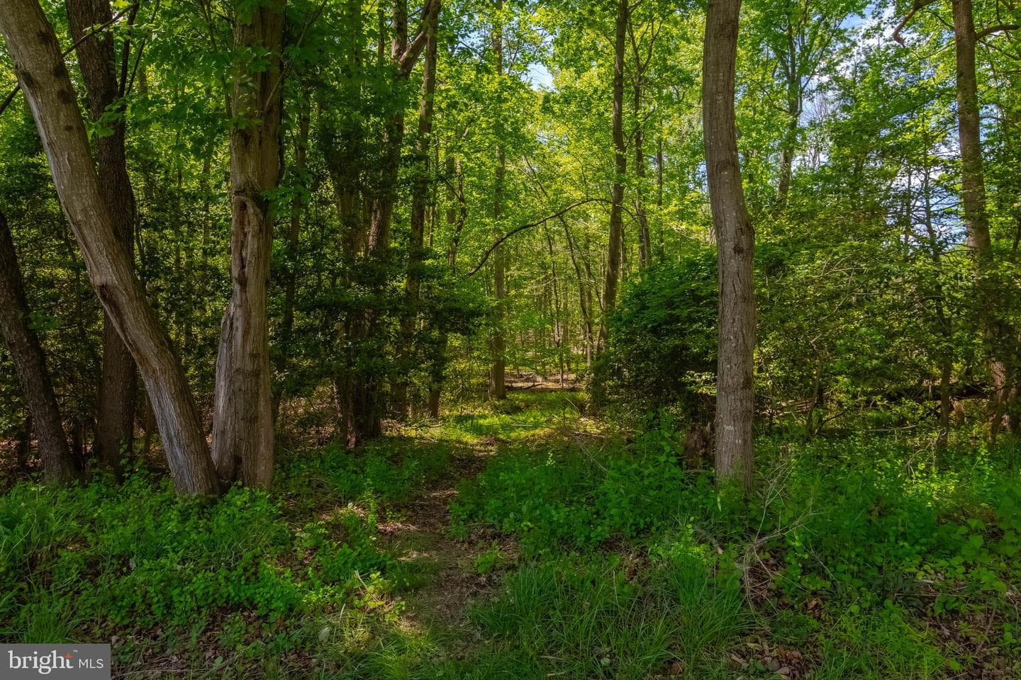3009 Tiffany Trail photo 52