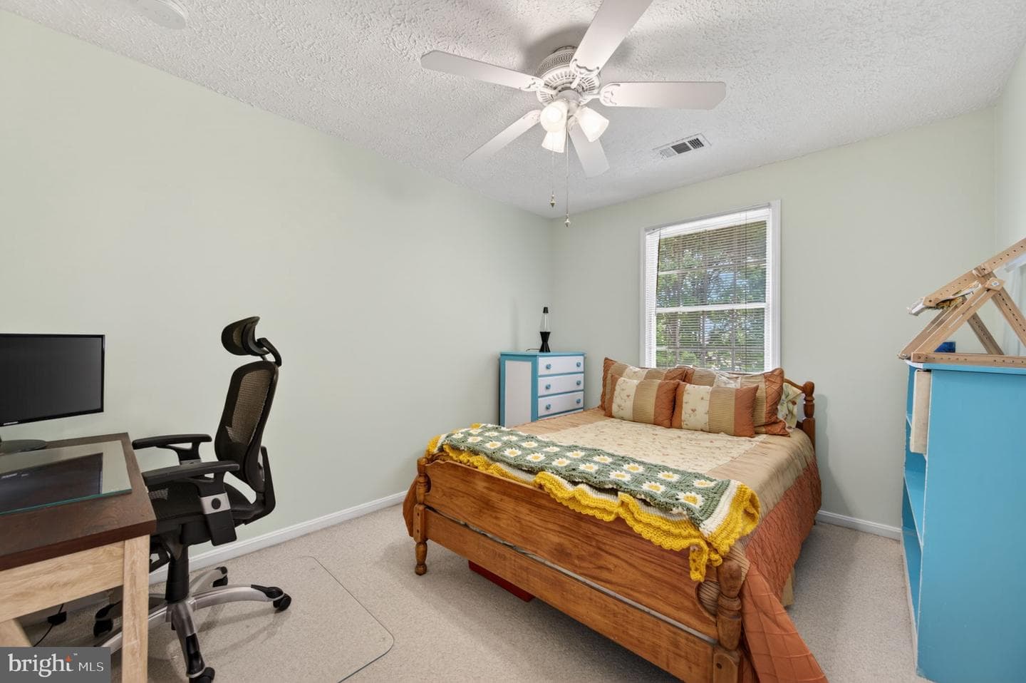809 Delray Drive photo 46
