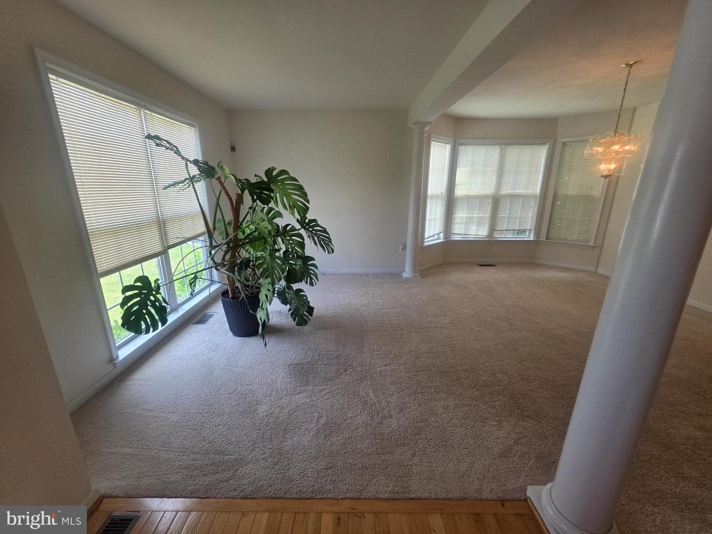 1001 W Viking Court photo 4