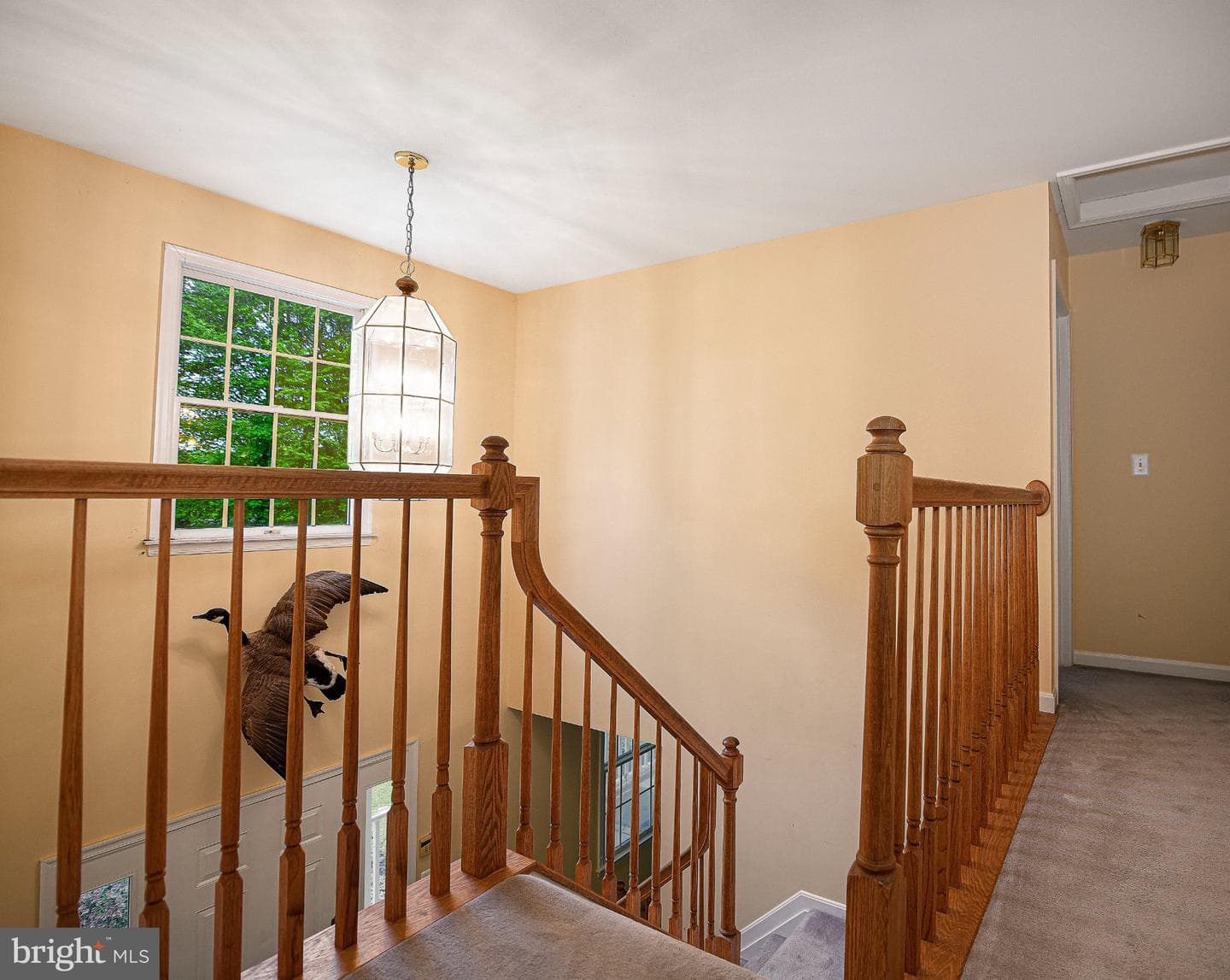 711 Gilbert Road photo 12