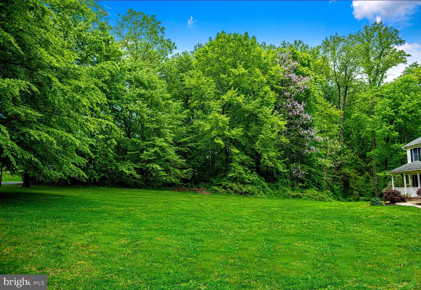 711 Gilbert Road photo 39