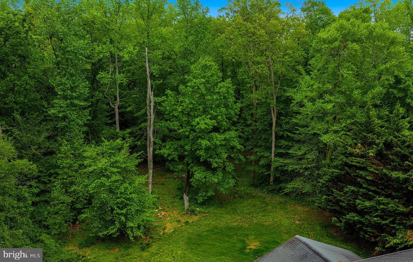 711 Gilbert Road photo 54