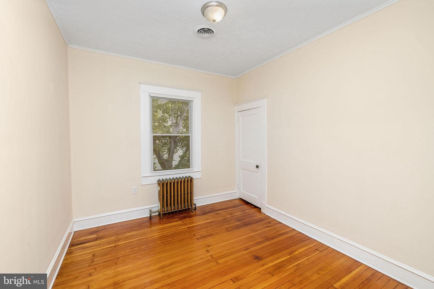 729 Revolution St photo 18