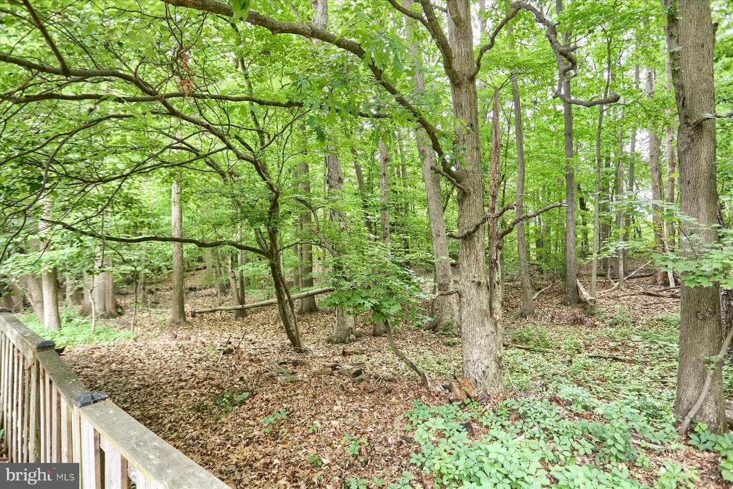 506 Hemler Court photo 34