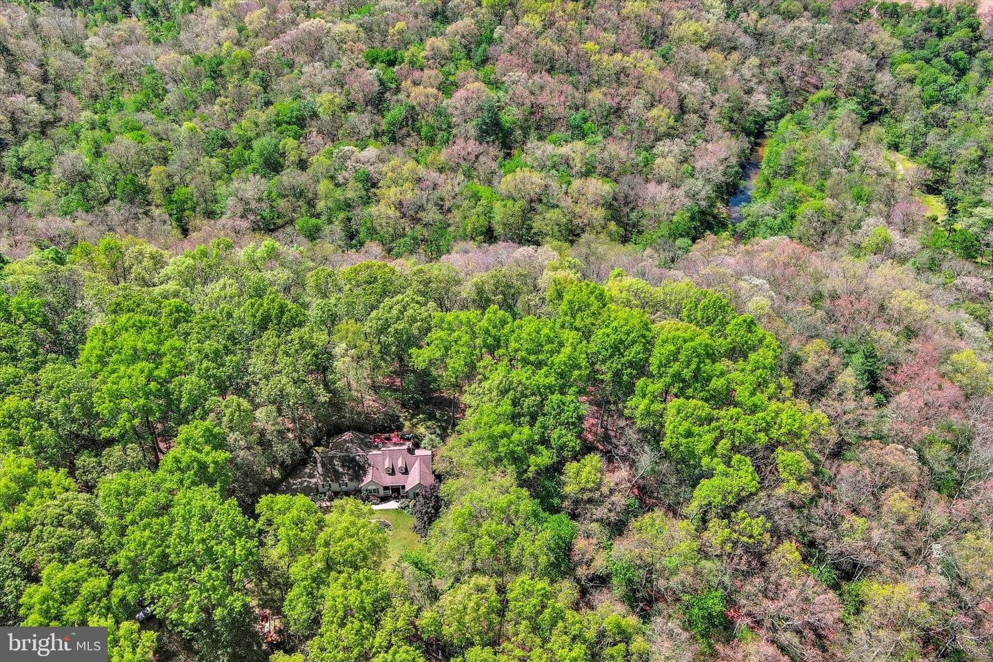 3213 Green Road photo 43