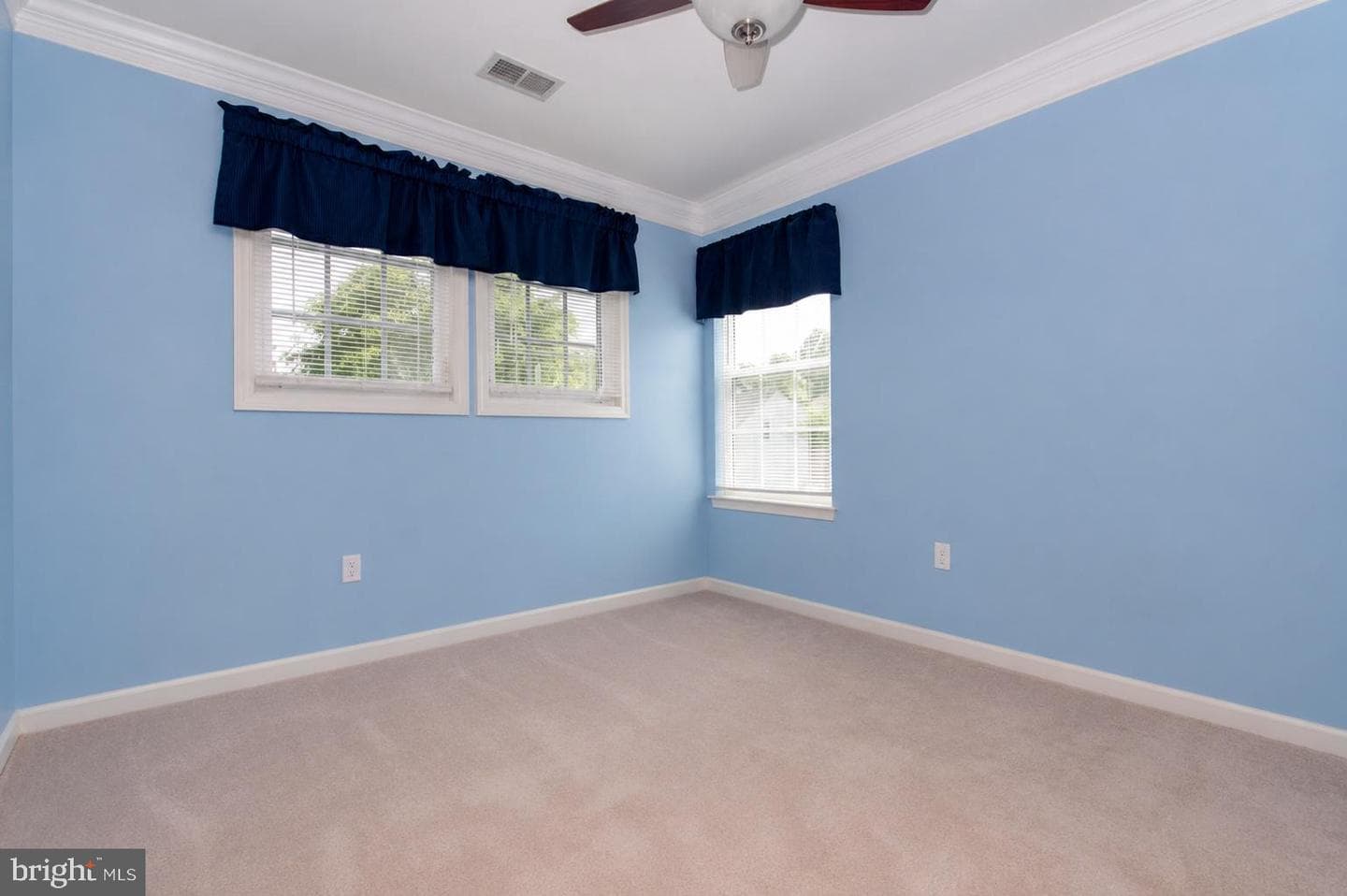 107 Steed Lane photo 28