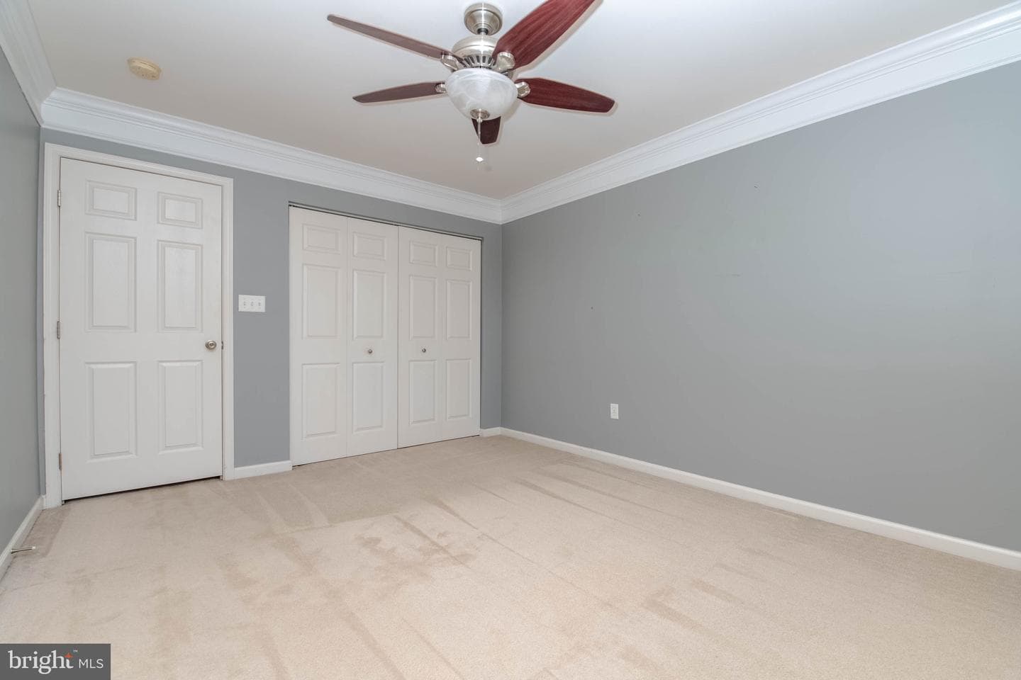 107 Steed Lane photo 33