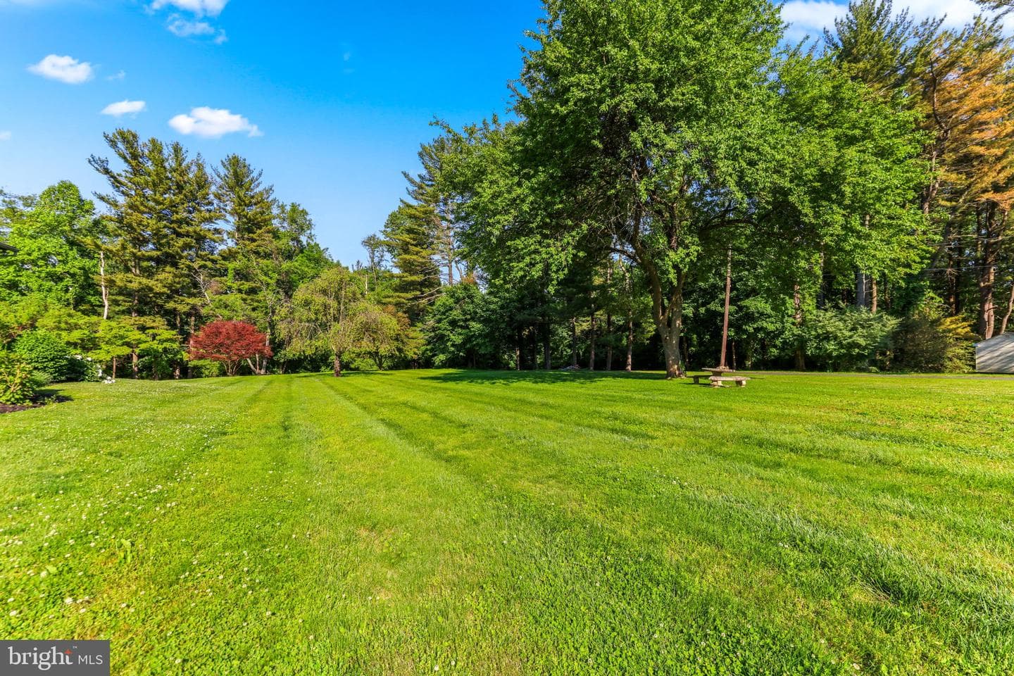 2401 Putnam Road photo 43