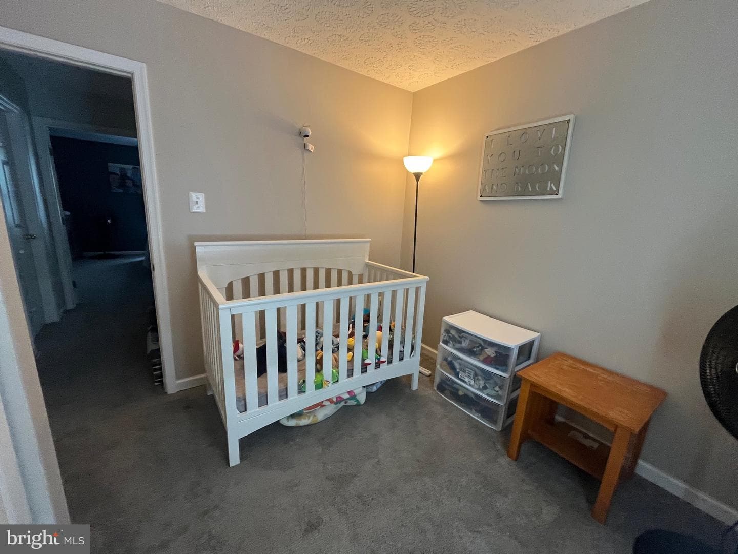 514 Macintosh Circle photo 20