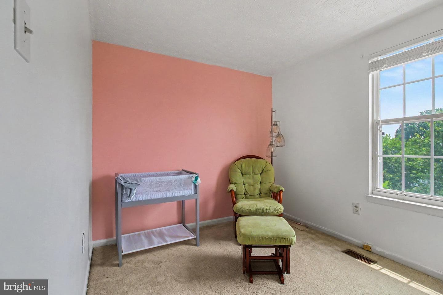 351 Delmar Court photo 16