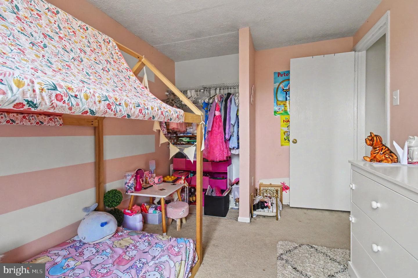 351 Delmar Court photo 19