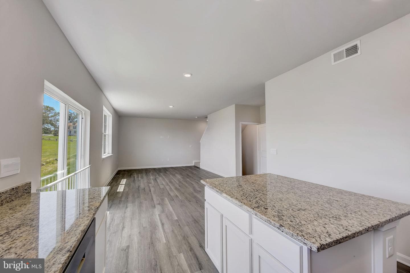 1032 Bunch Berry Drive photo 10