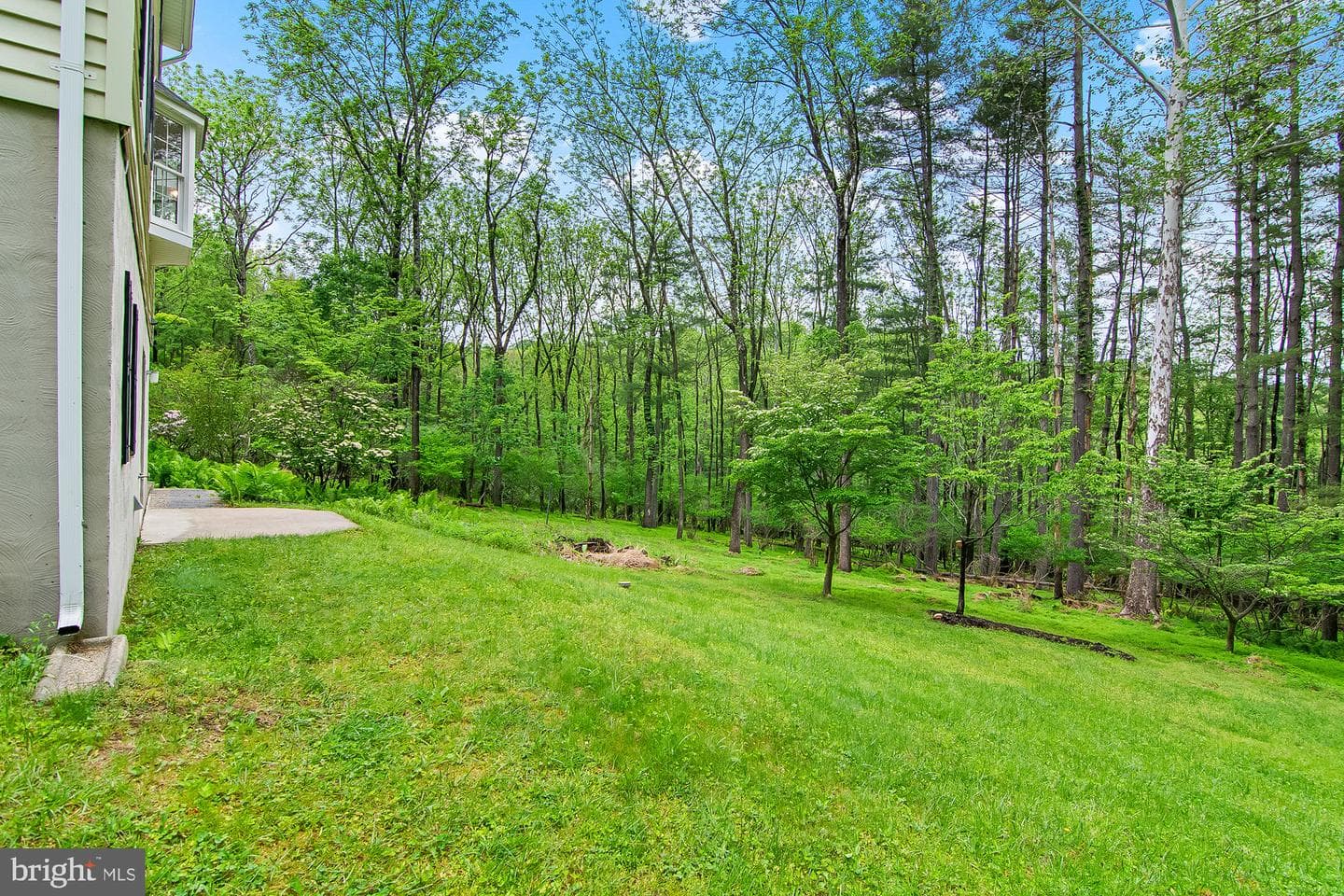 4517 Rosemary Way photo 14