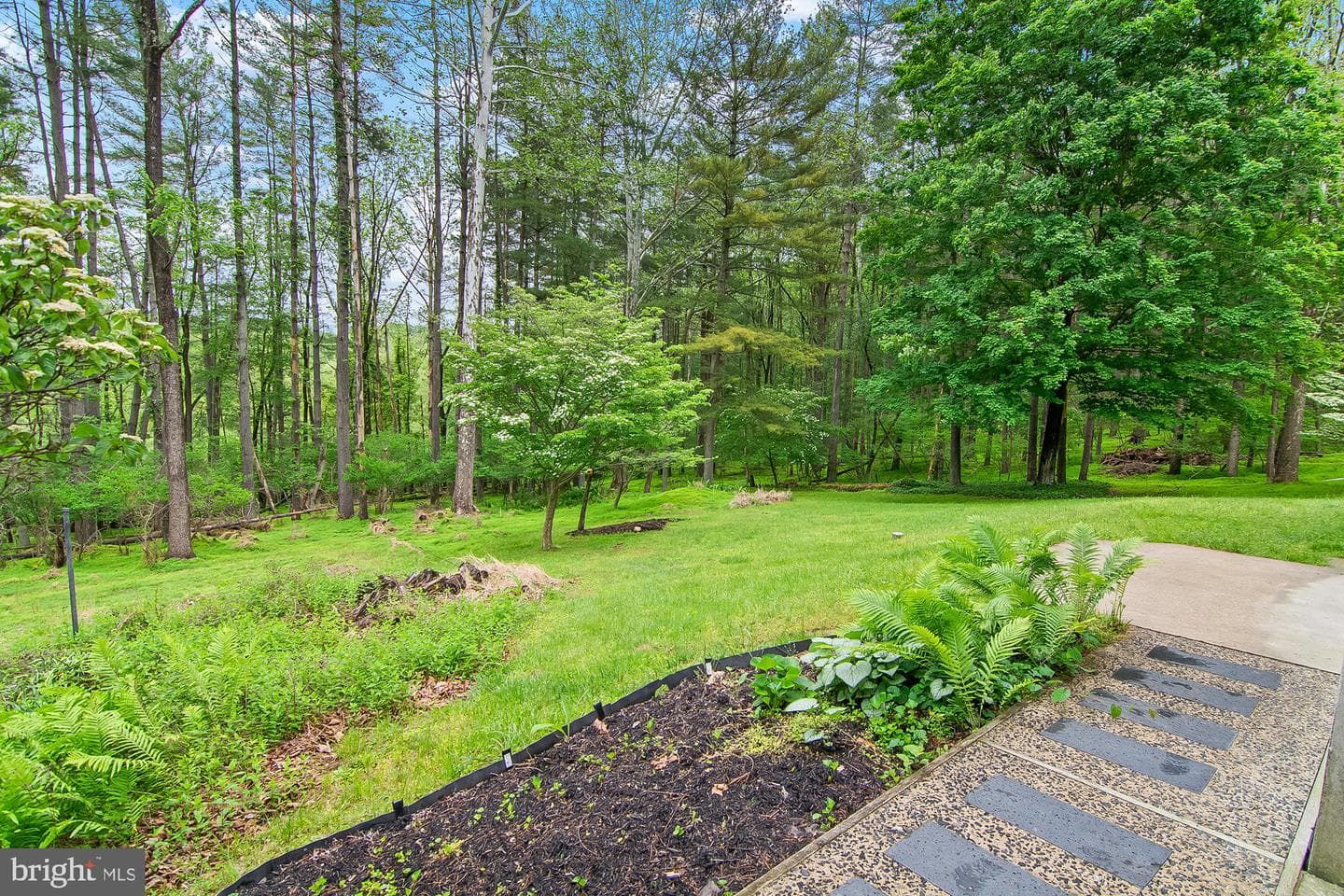 4517 Rosemary Way photo 15