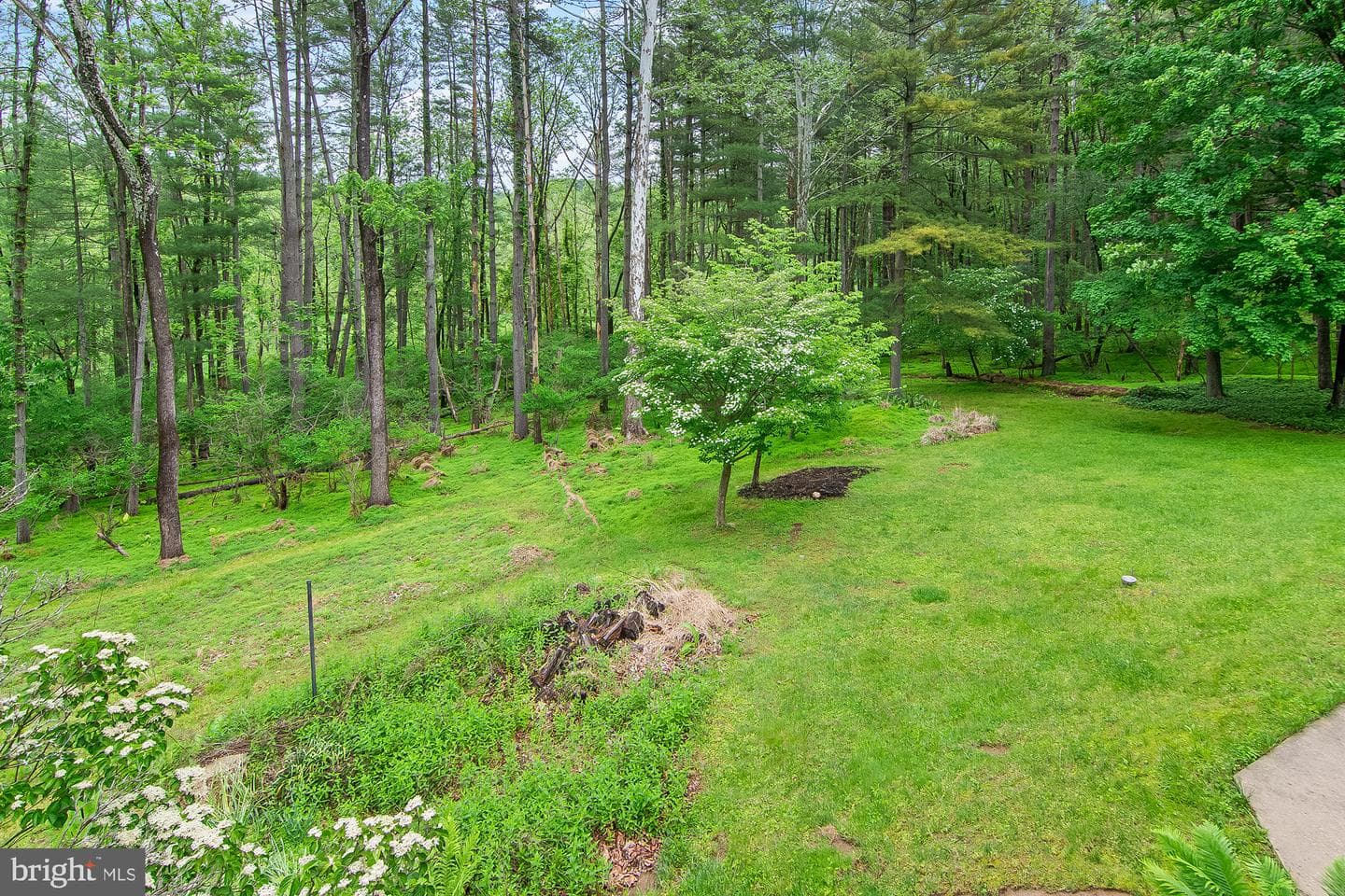 4517 Rosemary Way photo 16