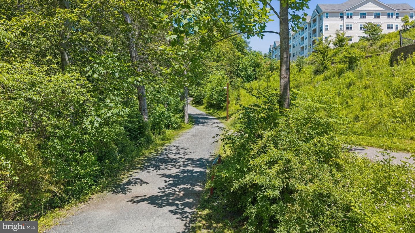 261 Beckenham Circle #402 photo 27