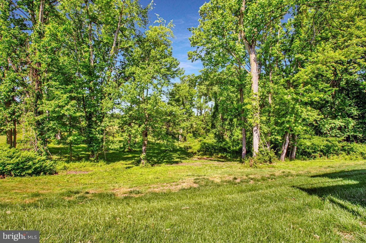 2412 Scotlon Court photo 66