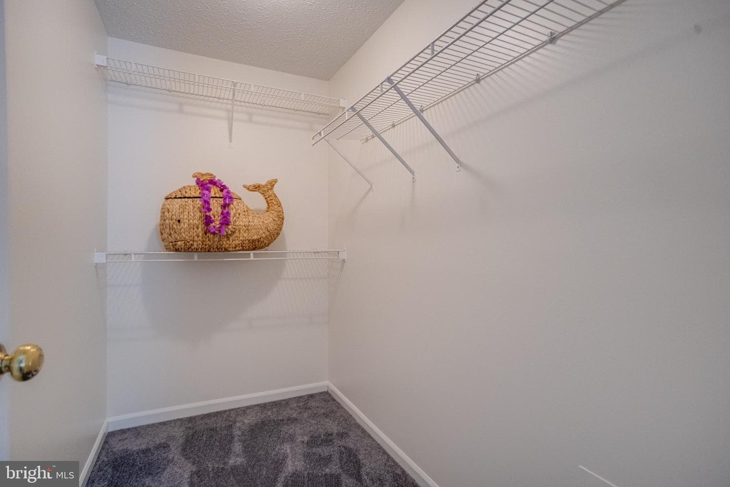 1826 Chester Way photo 31