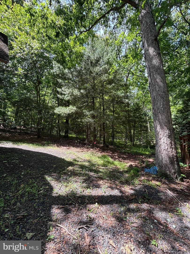 1349 Quaker Church Road photo 4