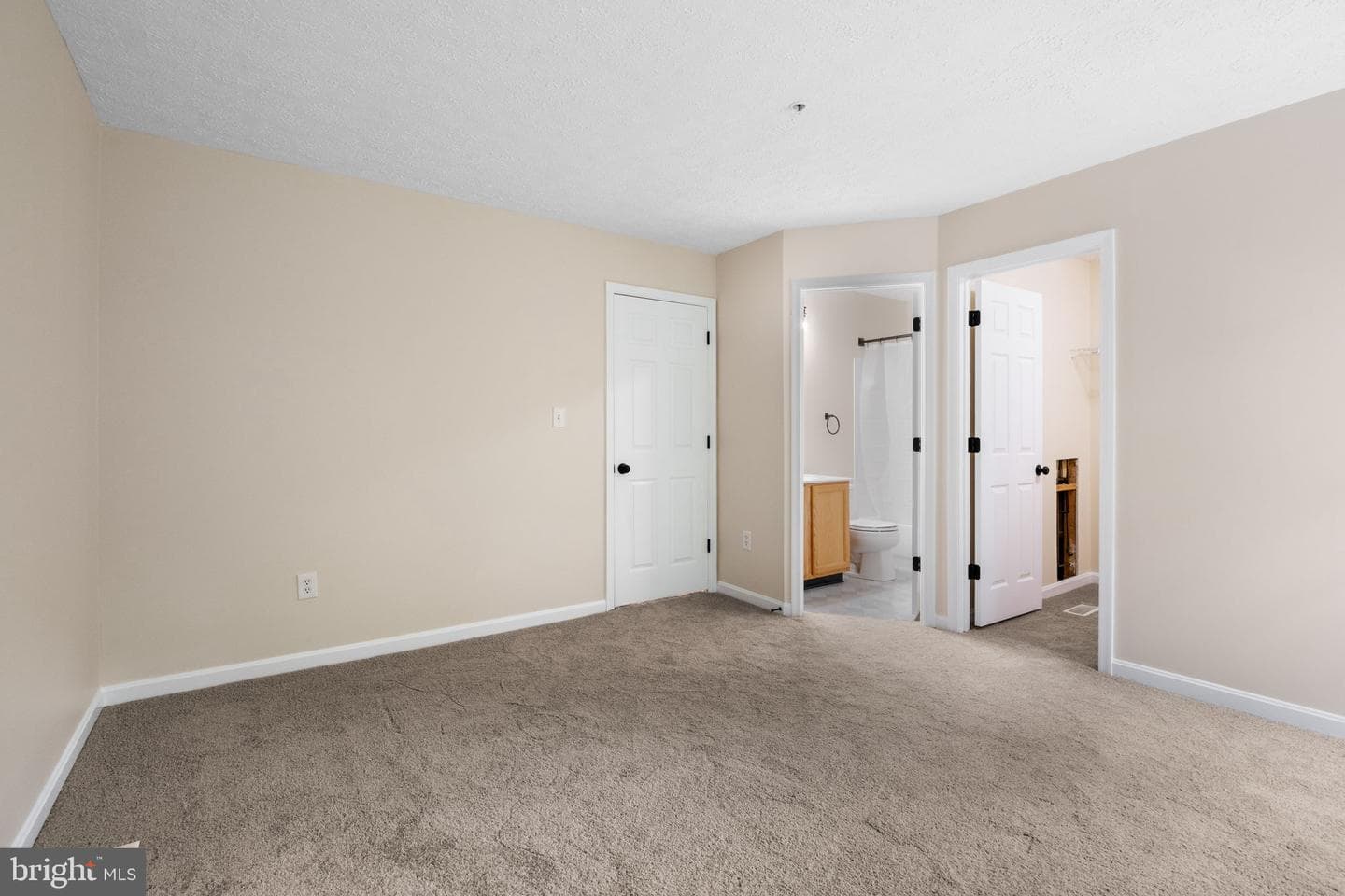 3825 Copper Beech Drive photo 18