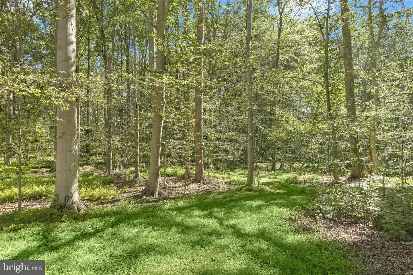 1109 E Wheel Road photo 65