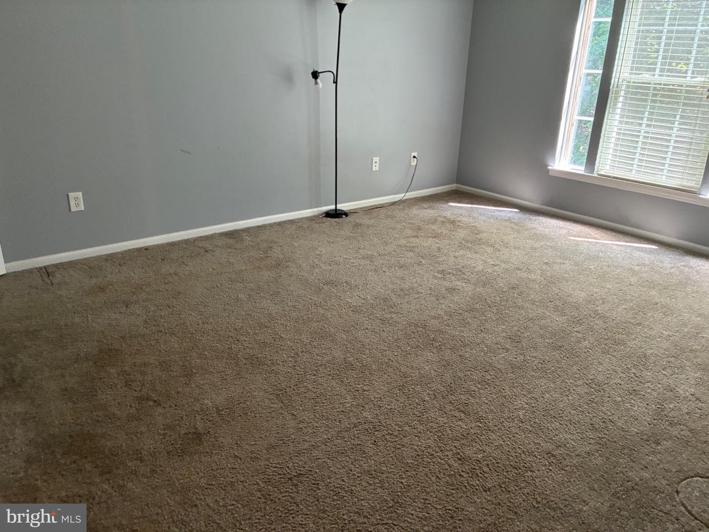 903 Woodbridge Court #f photo 25