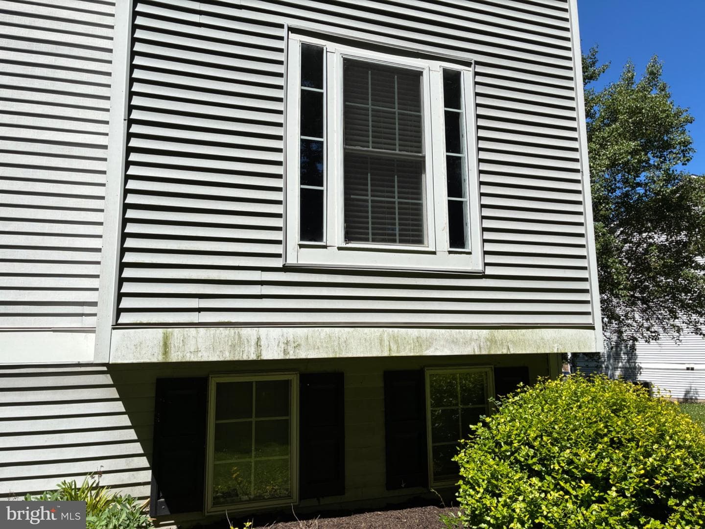 903 Woodbridge Court #f photo 47
