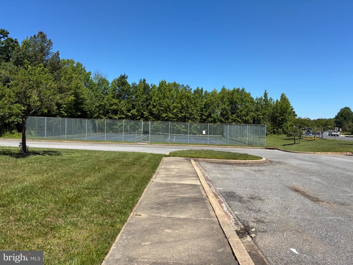 903 Woodbridge Court #f photo 6