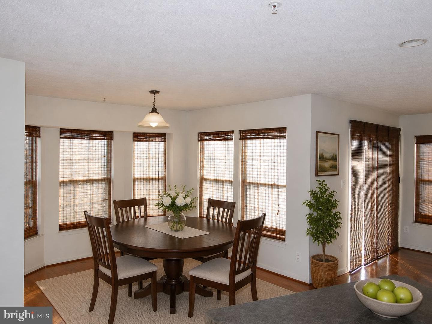 4817 Limestone Court photo 11