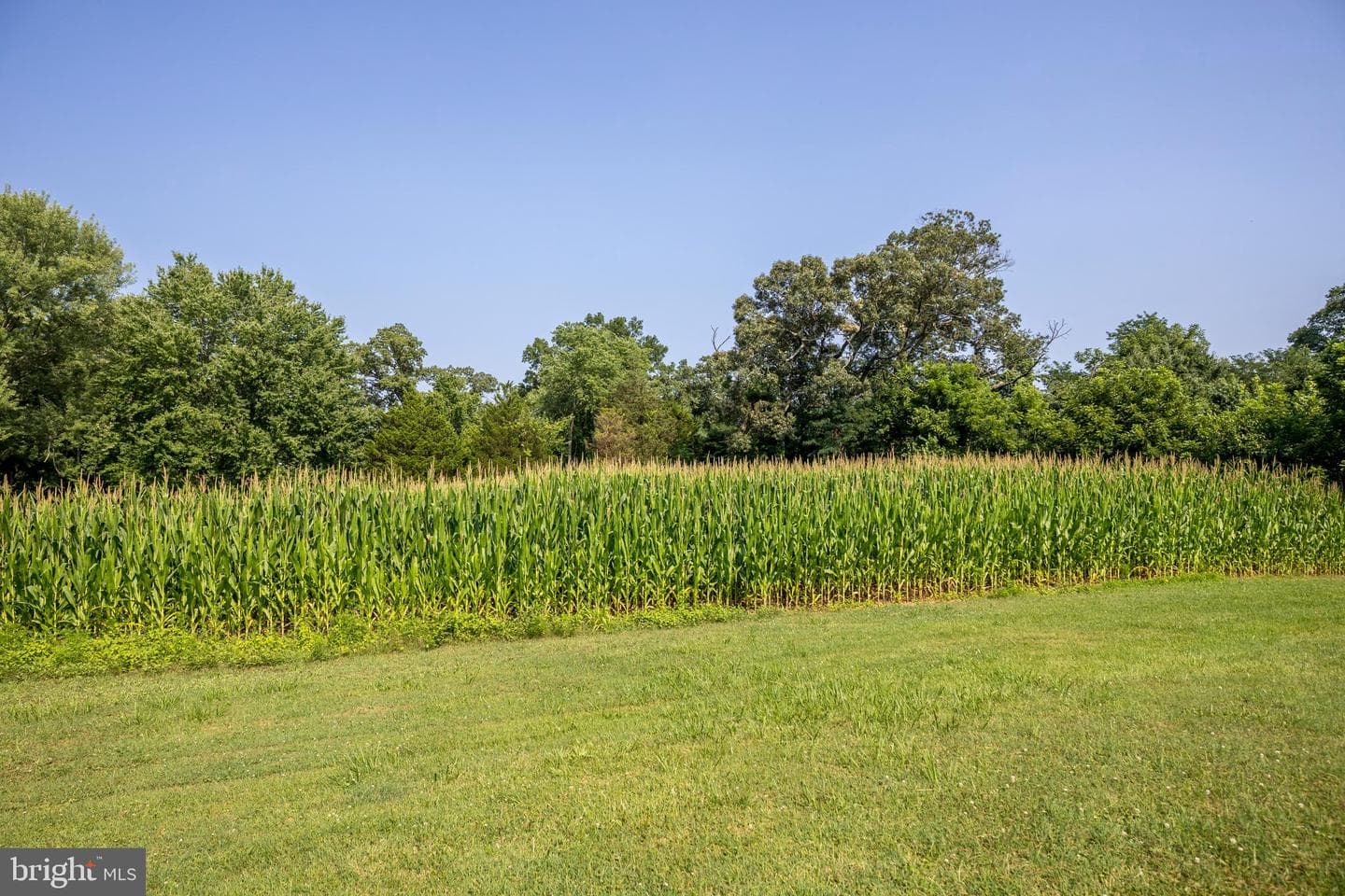 1301 Philadelphia Road photo 8