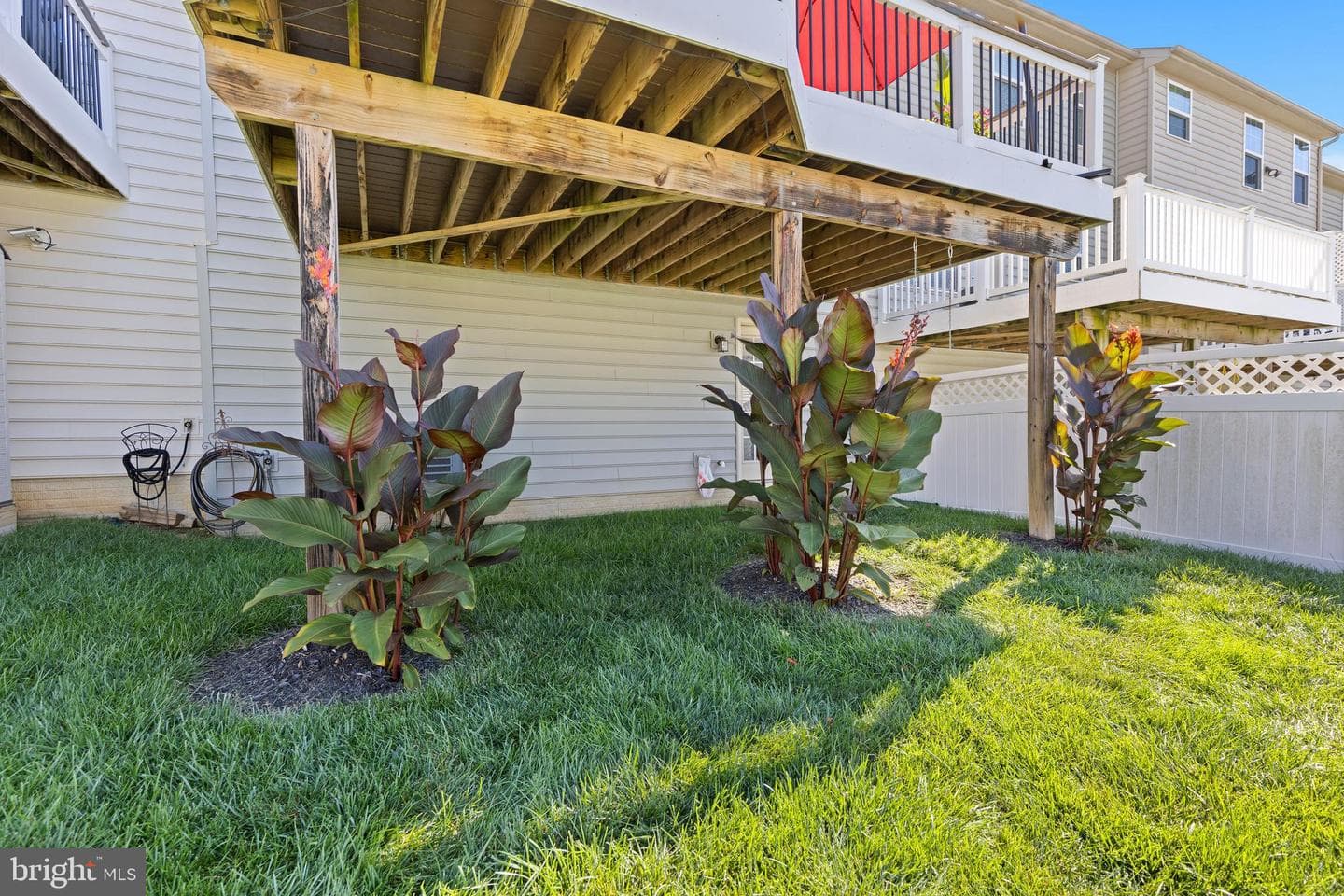 159 Sachem Street photo 29