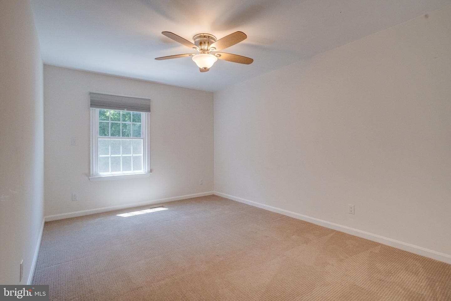 1301 Littlefield Place photo 47