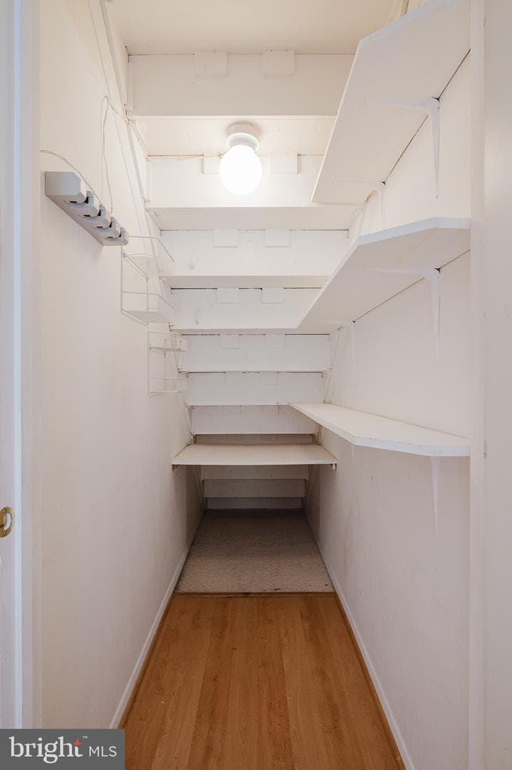132 Regent Drive photo 44