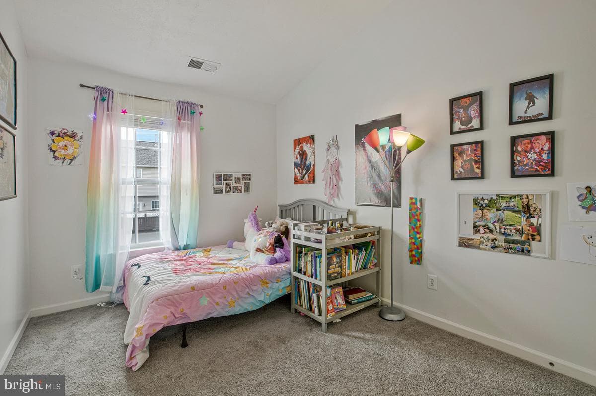 610 Snowberry Way photo 15