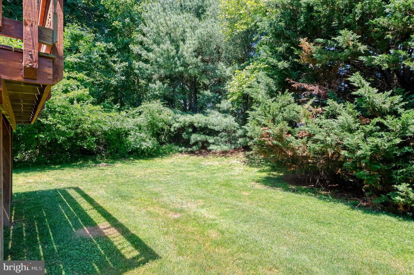 312 Betty Court photo 56