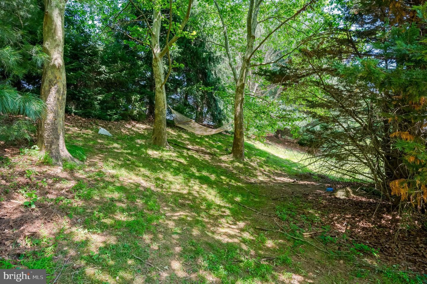 312 Betty Court photo 57